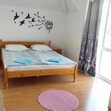 Guest house Orfey 3*